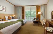 Двухместный номер с видом на лес