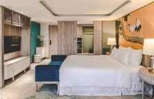 Двухместный люкс Sky Executive