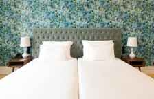 Двухместный номер Master Painters Palace