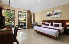 Двухместный номер с террасой у бассейна Deluxe