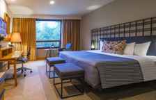 Двухместный номер Brisas Business Club