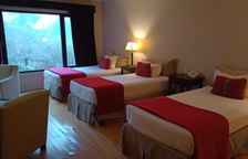 Трёхместная студия junior