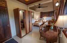 Двухместный номер Rambutan