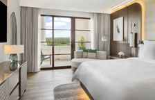 Двухместный люкс Deluxe с видом на парк