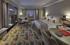 Двухместный клубный номер Executive с видом на парк