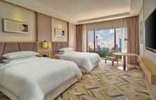 Двухместный номер Guest with Tower view