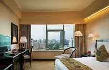 Двухместный люкс с видом на город