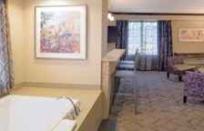 Люкс Spa c 1 комнатой