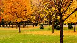 Санаторий «Русь», фото 5