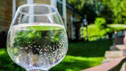 Санаторий «Марциальные воды», фото 4