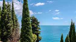 Парк-отель «Актер», фото 31