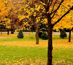 Санаторий «Русь», фото 17