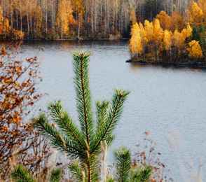 Санаторий «Марциальные воды», фото 7