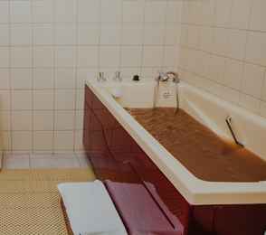 Парк-отель «Алтай-Грин», фото 5