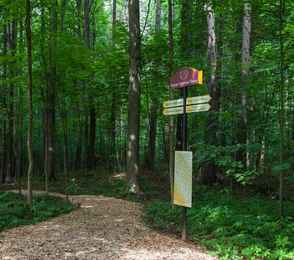 Курорт «Красная Пахра», фото 18