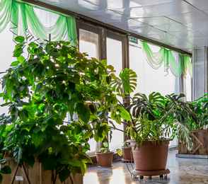 Санаторий «Березовая роща», фото 15