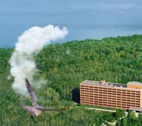 Санаторий «Березовая роща», фото 12