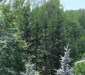 Санаторий «Березовая роща», фото 20