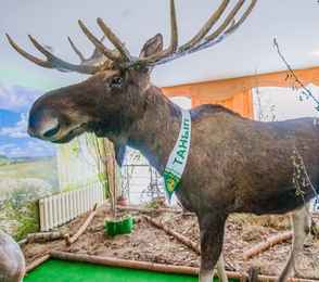 Санаторий «Танып», фото 9