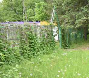 Санаторий «Кульдур», фото 4