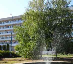 Санаторий «Вешенский»