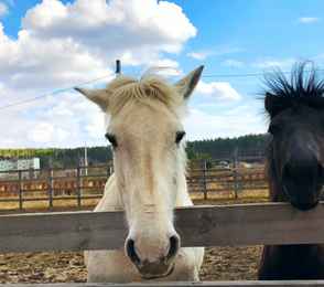 Санаторий «Обуховский», фото 16