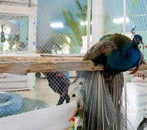 Санаторий «Обуховский», фото 45