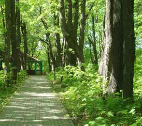 Санаторий «Приока», фото 37