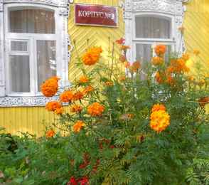 Санаторий «Приока», фото 50