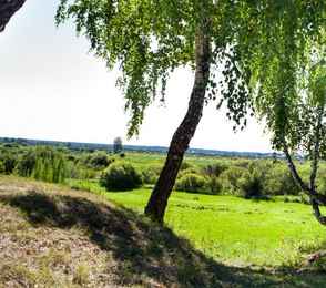 Санаторий «Ласточка», фото 10