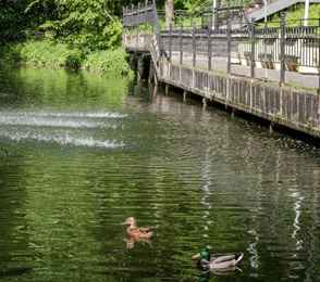 Санаторий «Валуево», фото 32