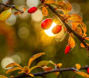 Санаторий «Радуга», фото 90