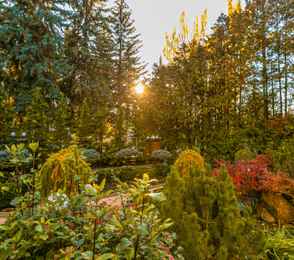 Санаторий «Радуга», фото 92