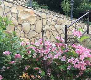 Курортный отель «Княжна Мери», фото 20