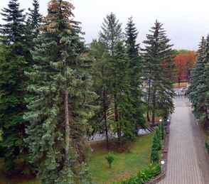 Санаторий «Жемчужина Кавказа», фото 9