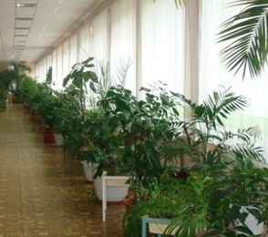 Санаторий «Синий утес», фото 18