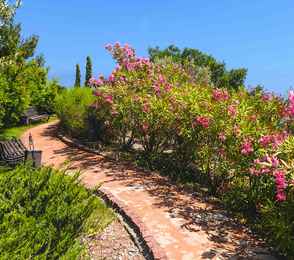 Крымский Бриз Hotel & Villas, фото 62