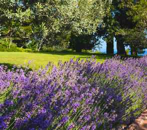 Крымский Бриз Hotel & Villas, фото 69