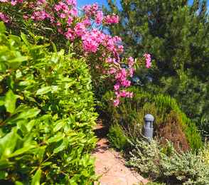 Крымский Бриз Hotel & Villas, фото 70