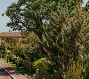 Крымский Бриз Hotel & Villas, фото 108