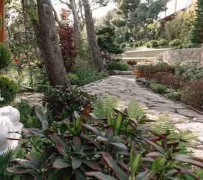 Крымский Бриз Hotel & Villas, фото 128