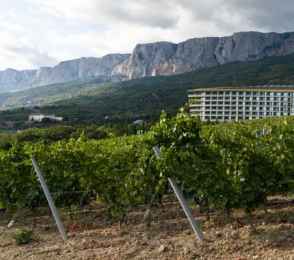 Mriya Resort & Spa, фото 44