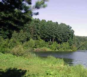 Санаторий «Кедровый бор», фото 34
