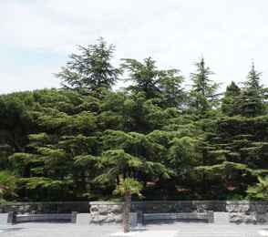 Санаторий «Форос», фото 101