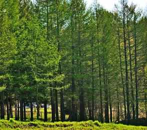 Санаторий «Новый источник», фото 6