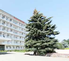 Санаторий имени С.М. Кирова