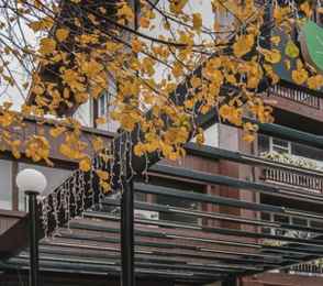 Санаторий «Сибиряк», фото 30