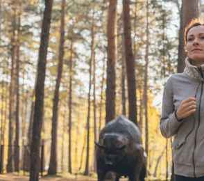 Санаторий «Сибиряк», фото 86