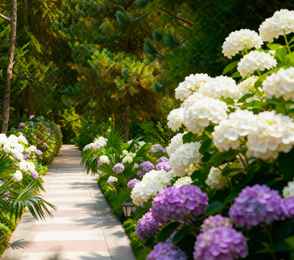 Санаторий «Южное взморье», фото 18