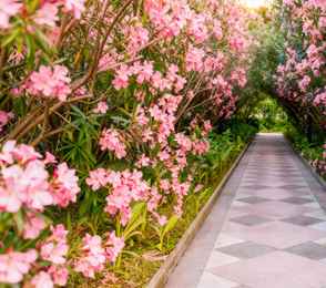 Санаторий «Южное взморье», фото 19